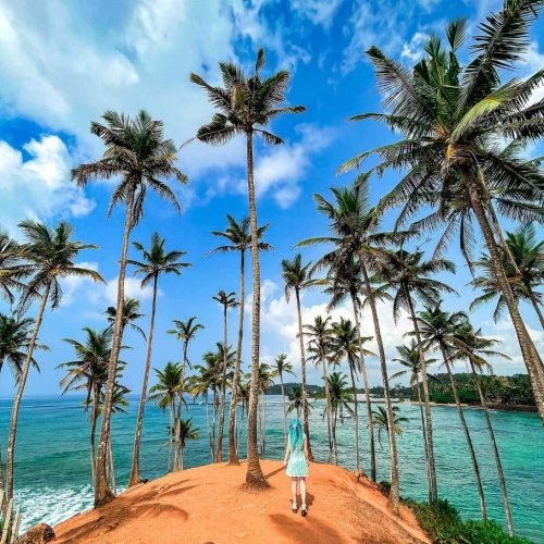 1a474290fdd66ca6b5abc089d3418c1b