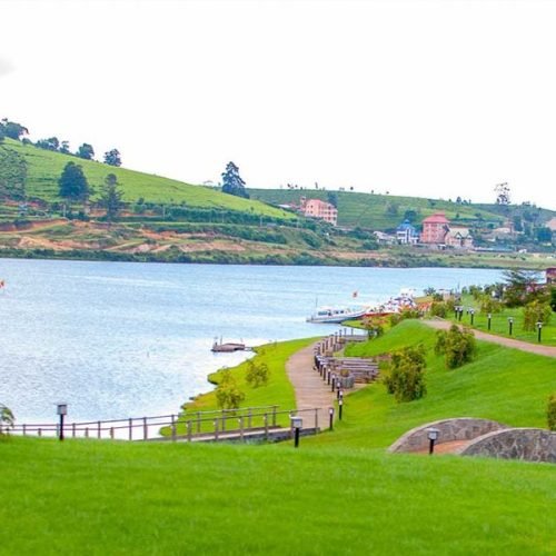 50b99c93fa9e245647454e217cea5575