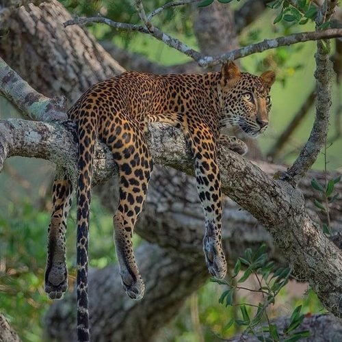 6c562ce463cbf13b8370e3fa2f69ba25