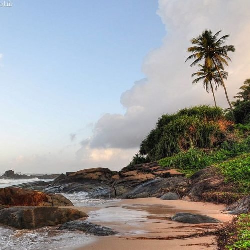 947d018cb53f5caf109b2e3ebdf556b9 (1)