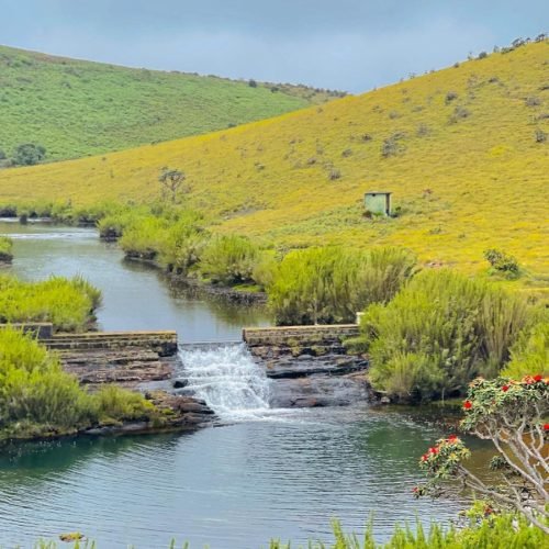 af04aaf3b009945c70c78aef3fc670c9